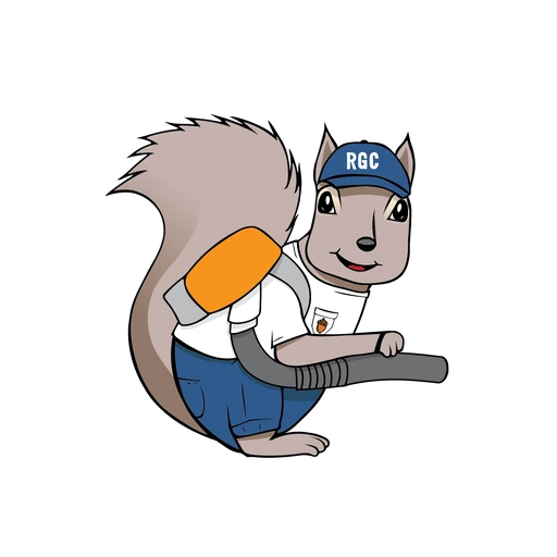 Raleigh Gutter Cleaning, established 2017